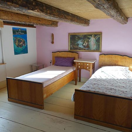 Tengen Ferienwohnung Fink מראה חיצוני תמונה